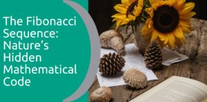 The Fibonacci Sequence